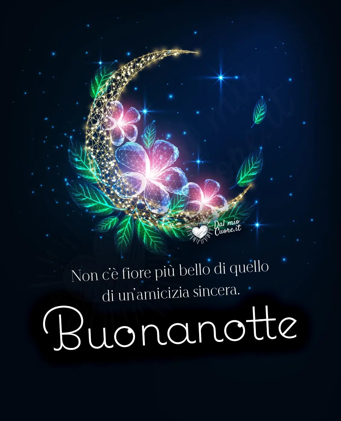 Non c’è fiore più bello di quello di un’amicizia sincera. Buonanotte Non c’è fiore più bello di quello di un’amicizia sincera. Buonanotte
