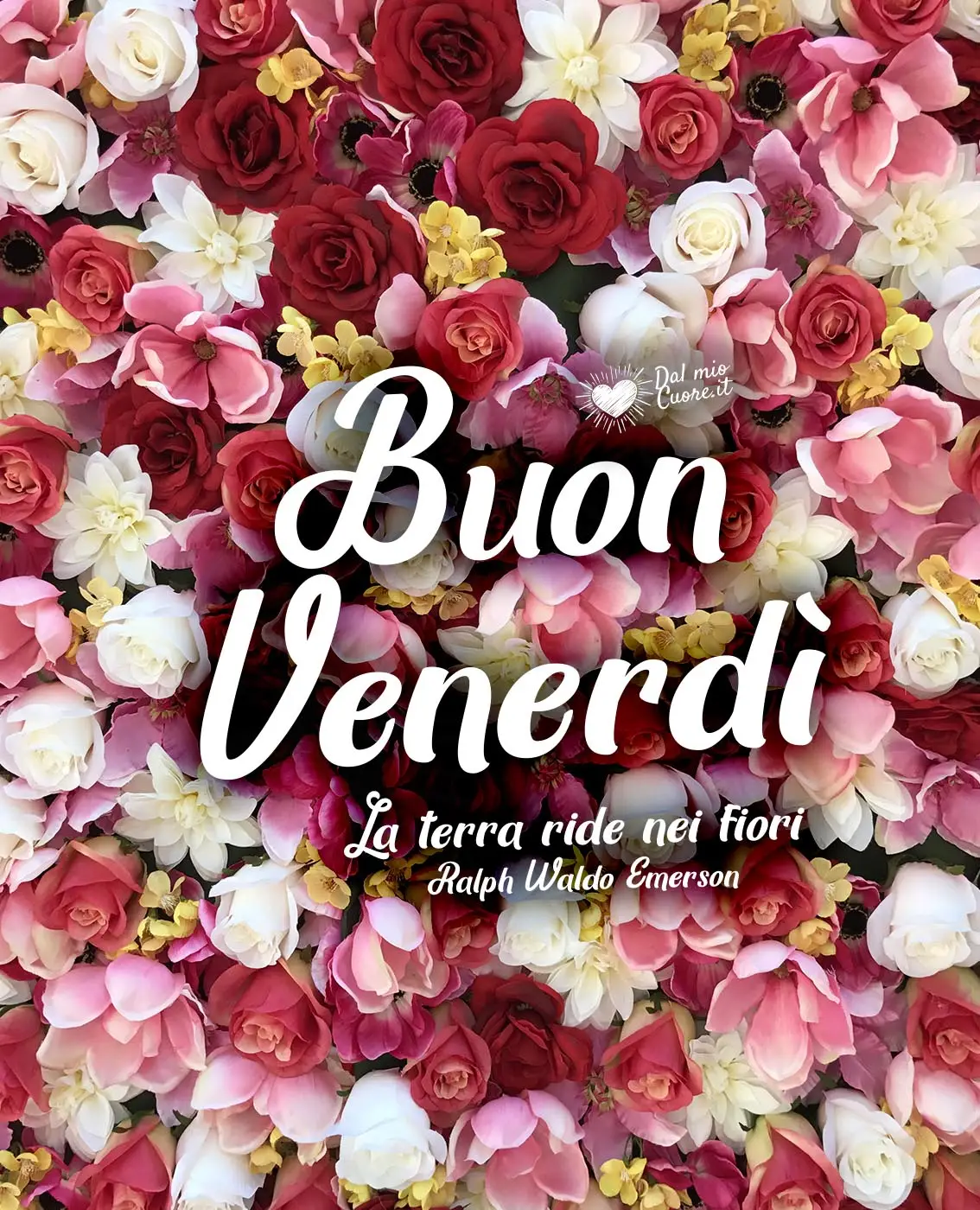 La terra ride nei fiori. Buongiorno La terra ride nei fiori. Buongiorno