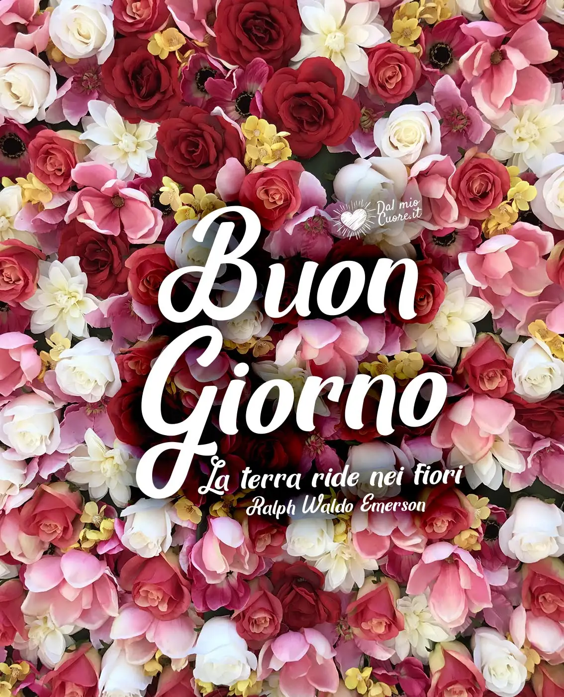 La terra ride nei fiori. Buongiorno La terra ride nei fiori. Buongiorno