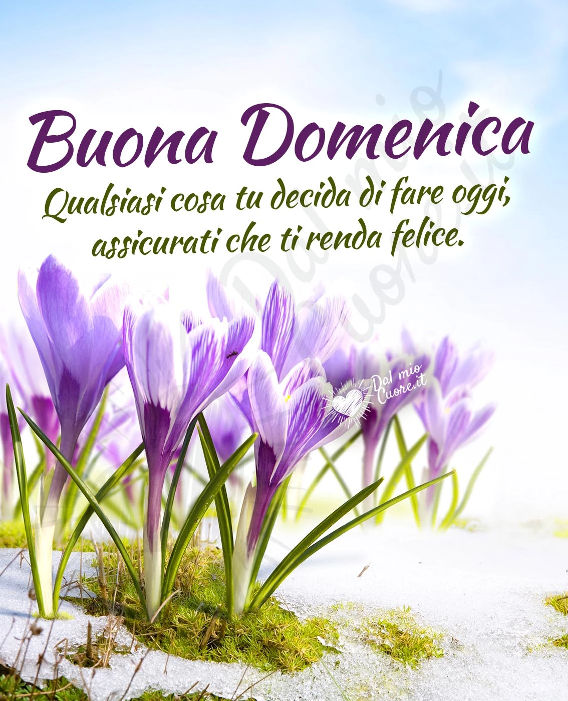 Immagine buona domenica invernale con frase sulla felicita