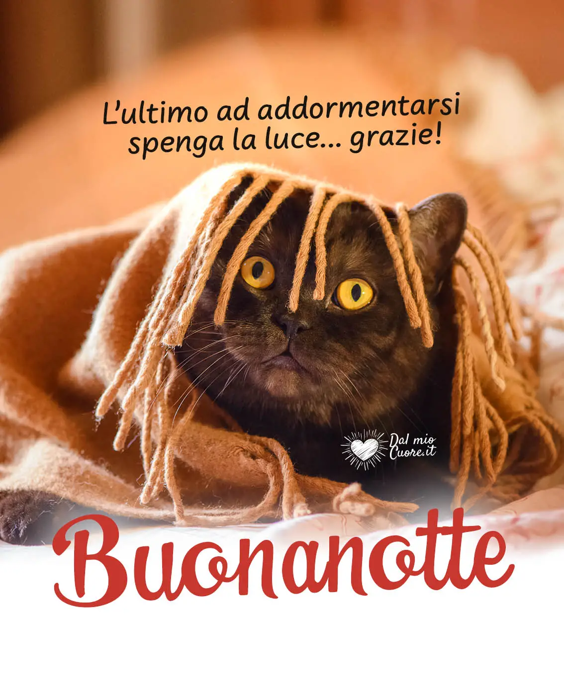 L'ultimo ad addormentarsi spenga la luce... grazie! L'ultimo ad addormentarsi spenga la luce... grazie!