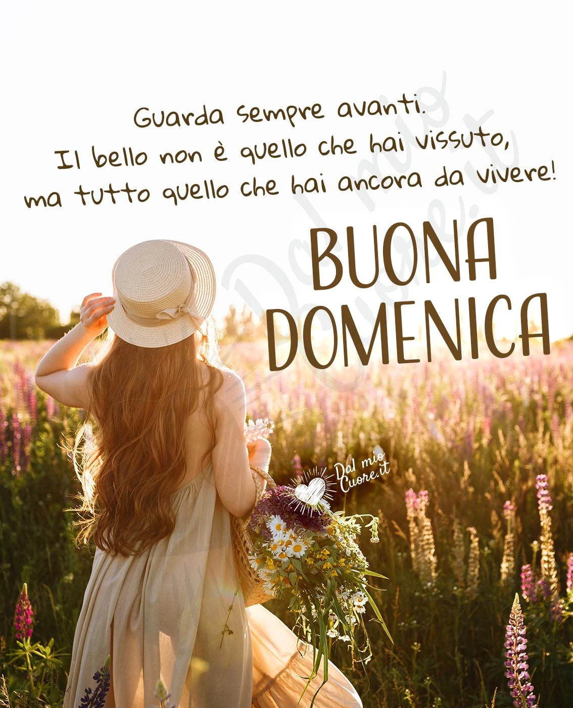 Buona domenica con frase sulla vita