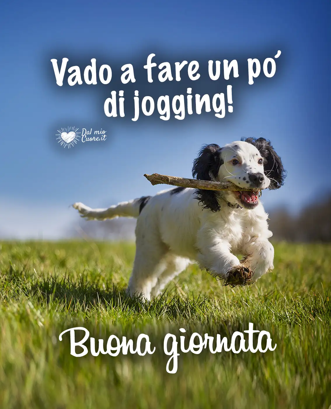 Vado a fare un po' di jogging! Buona giornata Vado a fare un po' di jogging! Buona giornata