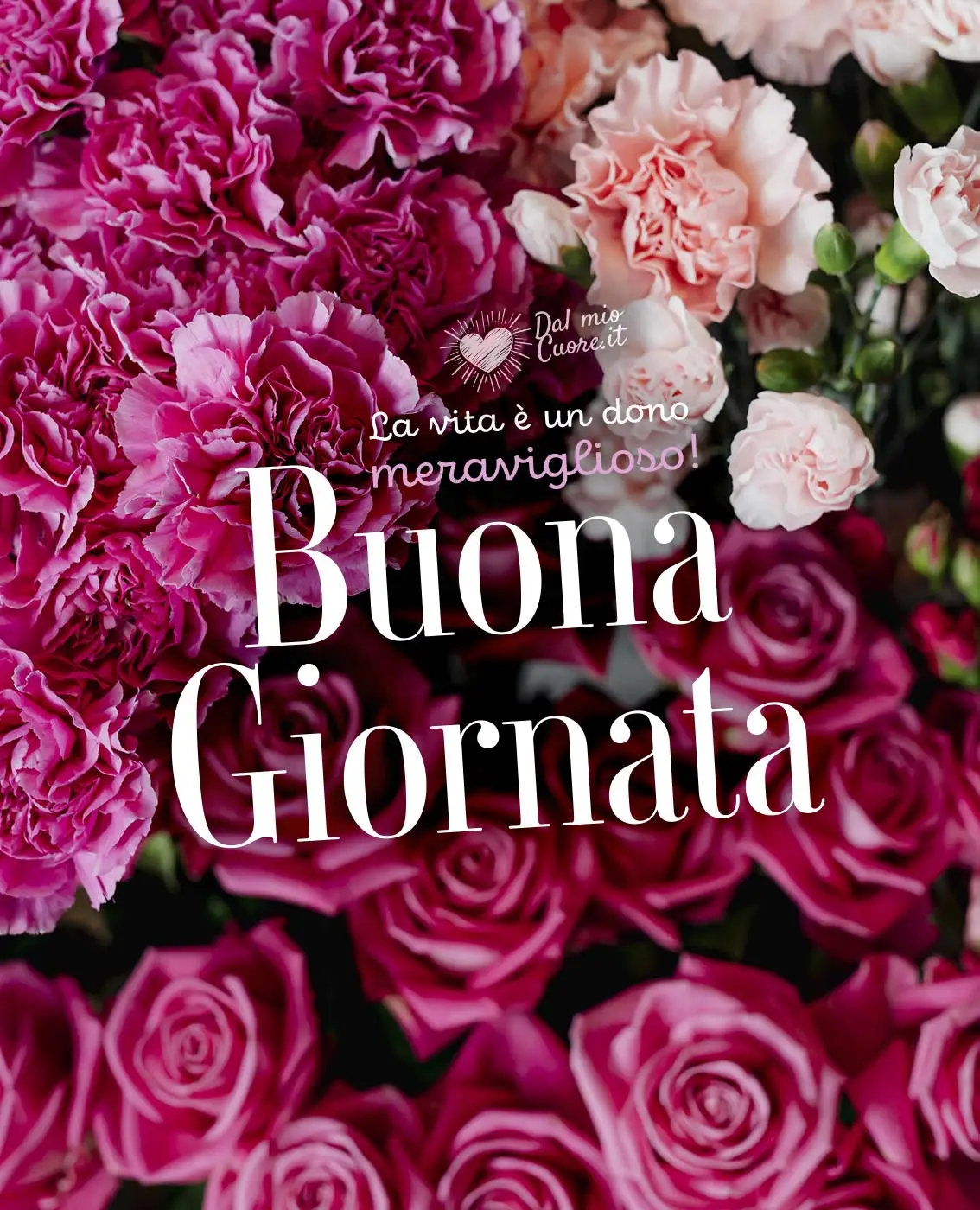 La vita è un dono meraviglioso! Buona Giornata La vita è un dono meraviglioso! Buona Giornata