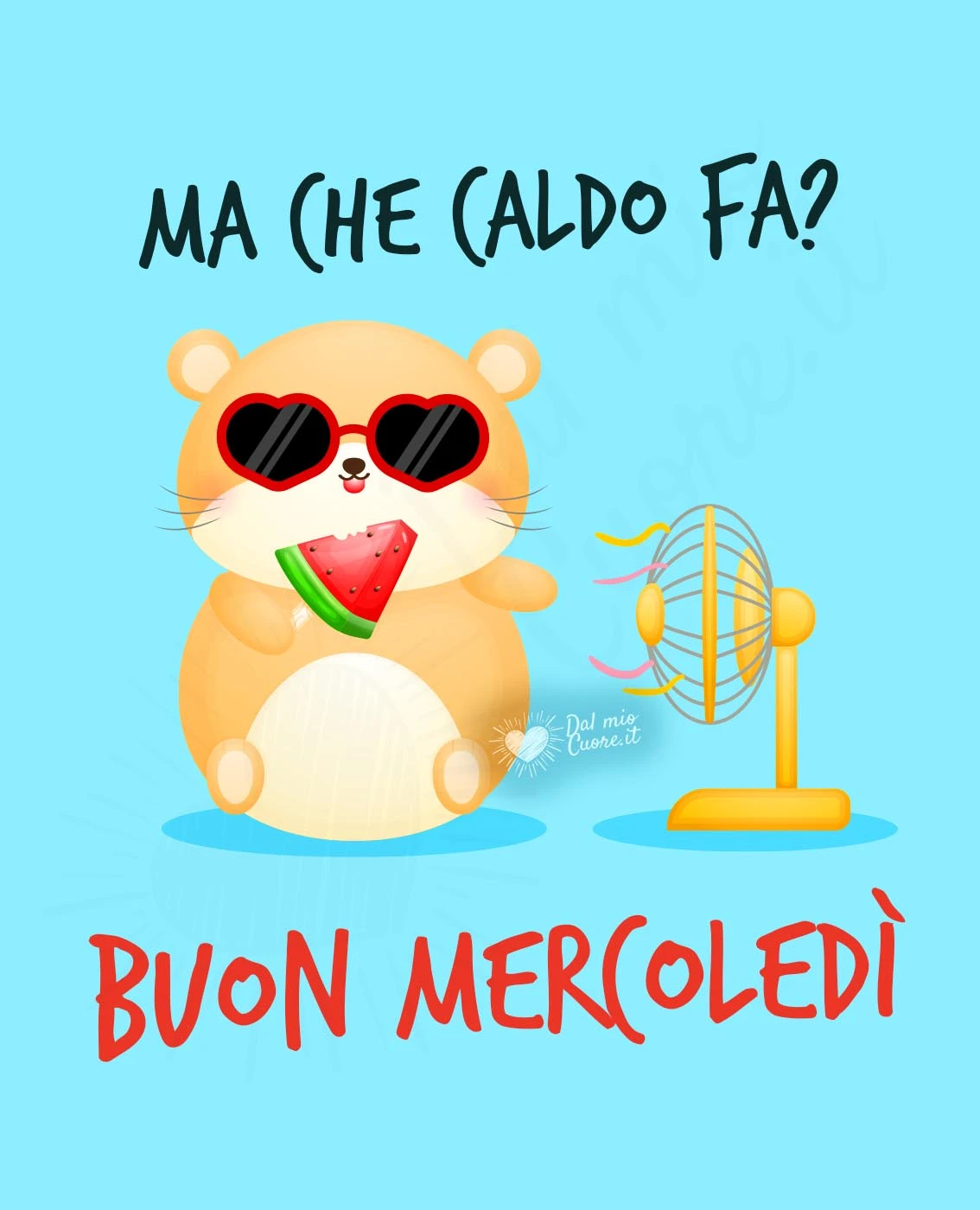 Buon mercoledì divertente con cricetino che sente caldo Buon mercoledì divertente con cricetino che sente caldo