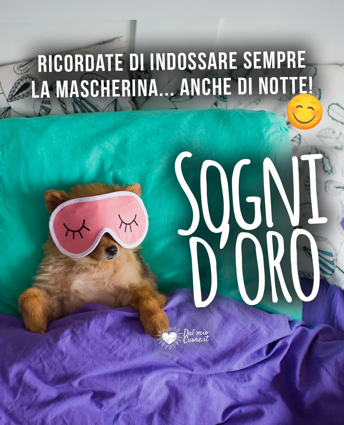 Ricordate di indossare la mascherina... anche di notte! Sogni d'oro Ricordate di indossare la mascherina... anche di notte! Sogni d'oro
