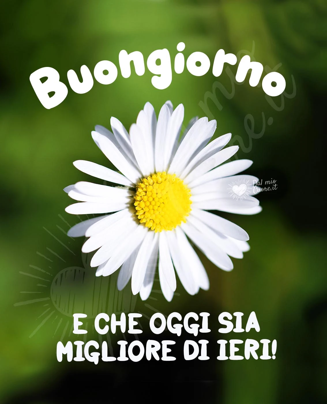 Pagina 5 di Immagini Buongiorno Bellissime e Sempre Aggiornate! Video e GIF