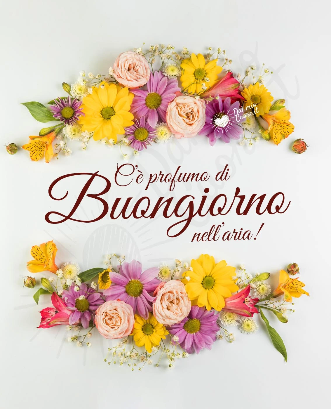 C’è profumo di Buongiorno nell’aria! C’è profumo di Buongiorno nell’aria!