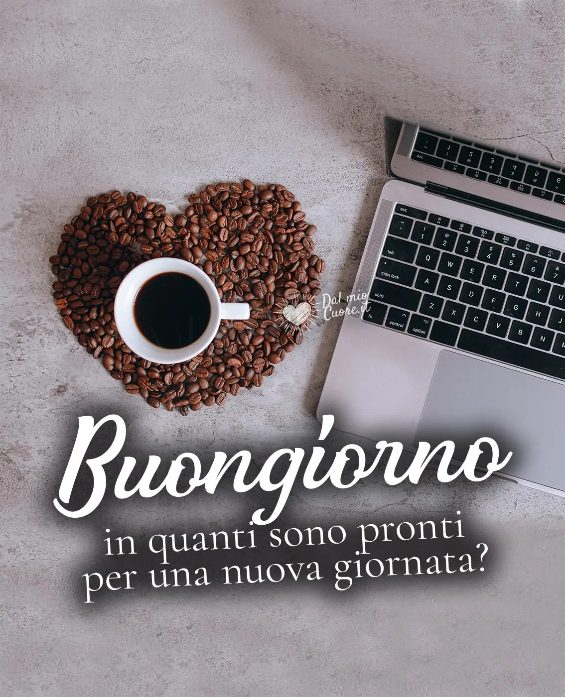 Buongiorno. In quanti sono pronti per una nuova giornata? Buongiorno. In quanti sono pronti per una nuova giornata?