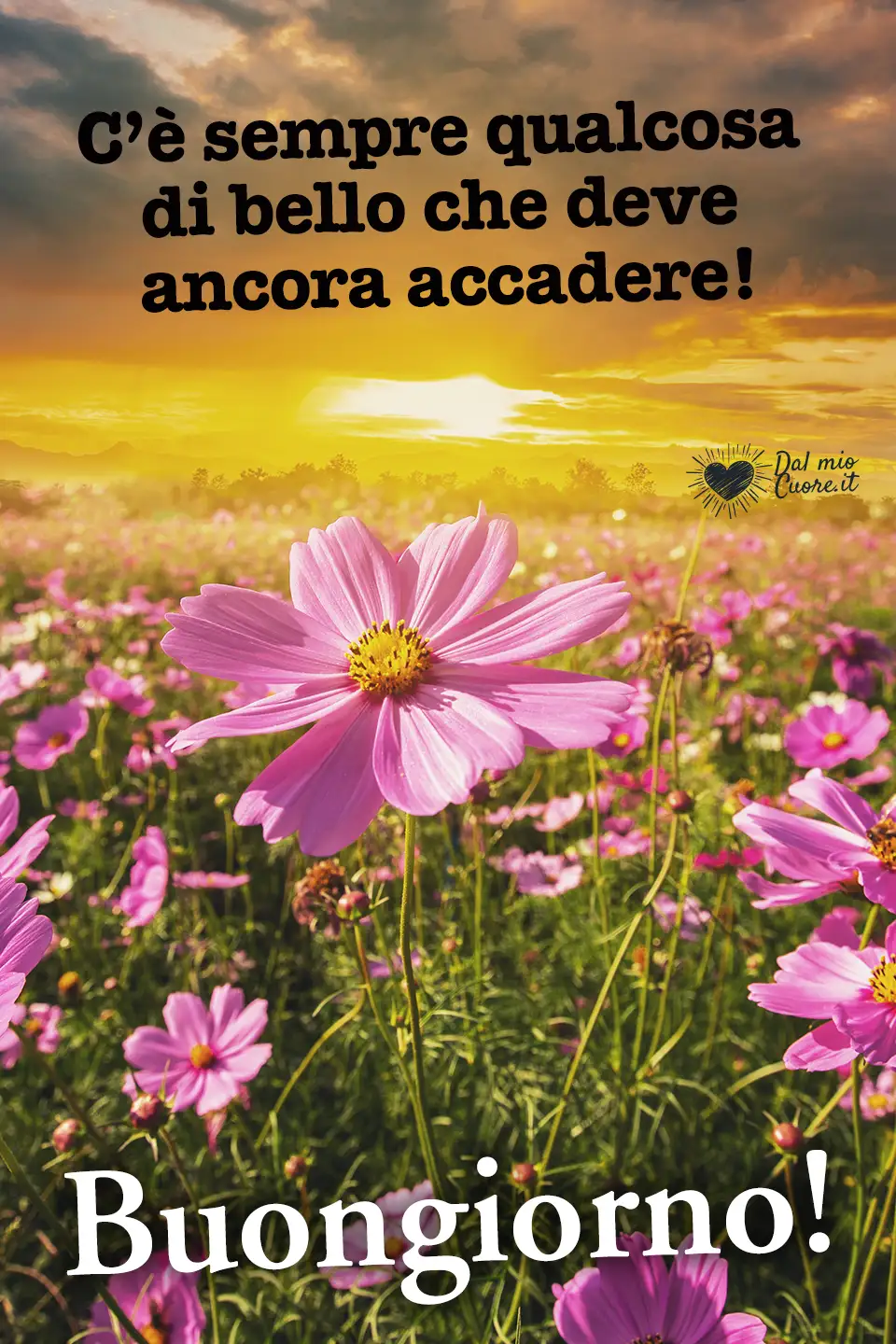 C’è sempre qualcosa di bello che deve ancora accadere! Buongiorno