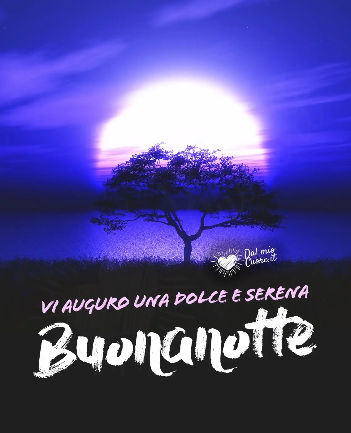 Vi auguro una dolce e serena buonanotte