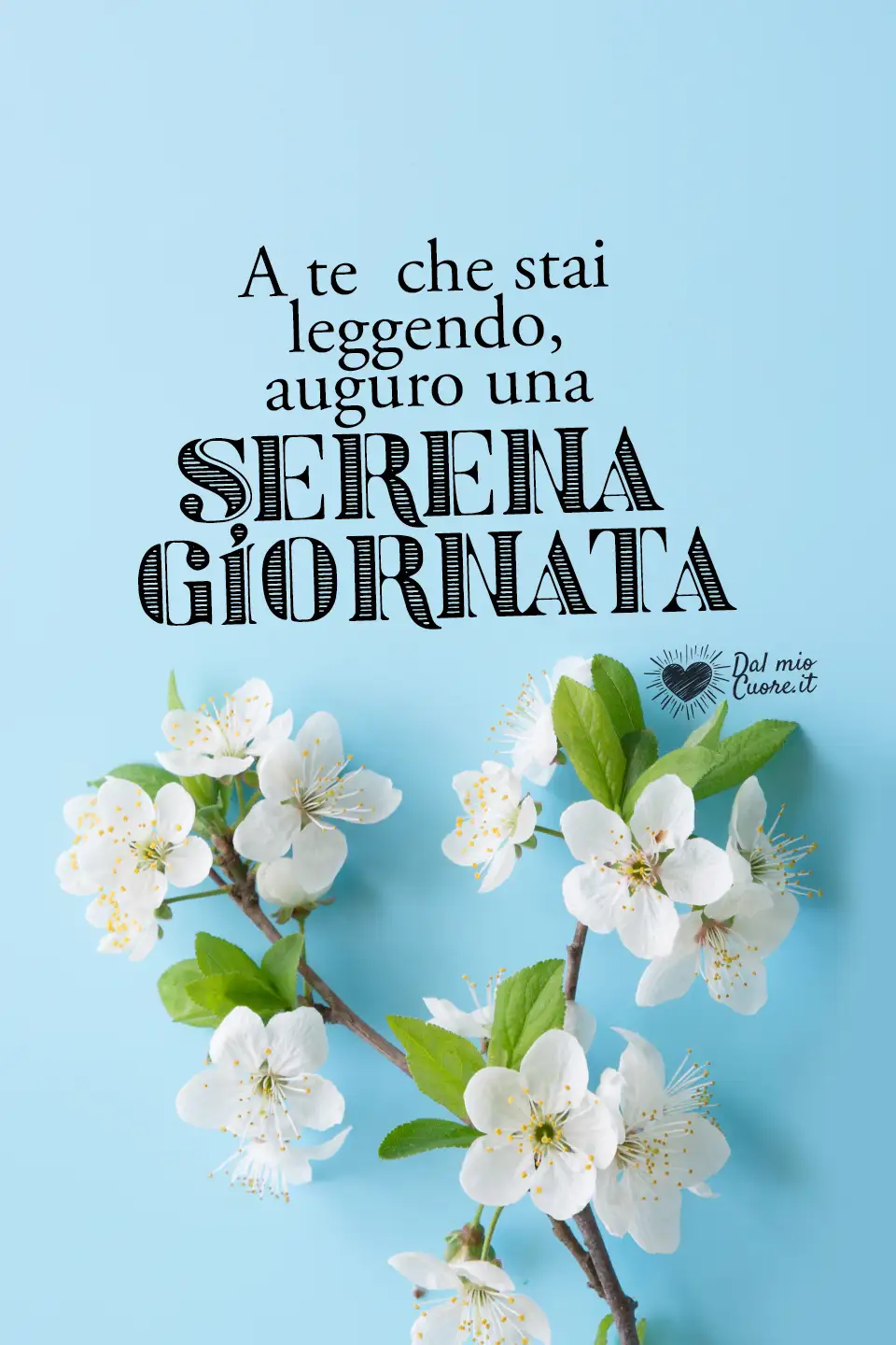 A te che stai leggendo, auguro una Serena Domenica A te che stai leggendo, auguro una Serena Domenica
