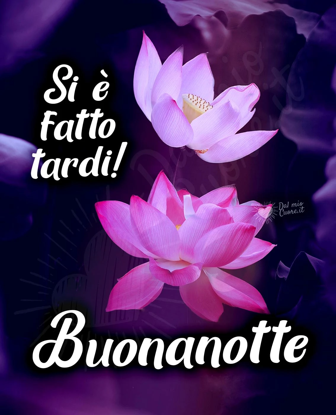 Si è fatto tardi! Con fiori Si è fatto tardi! Con fiori
