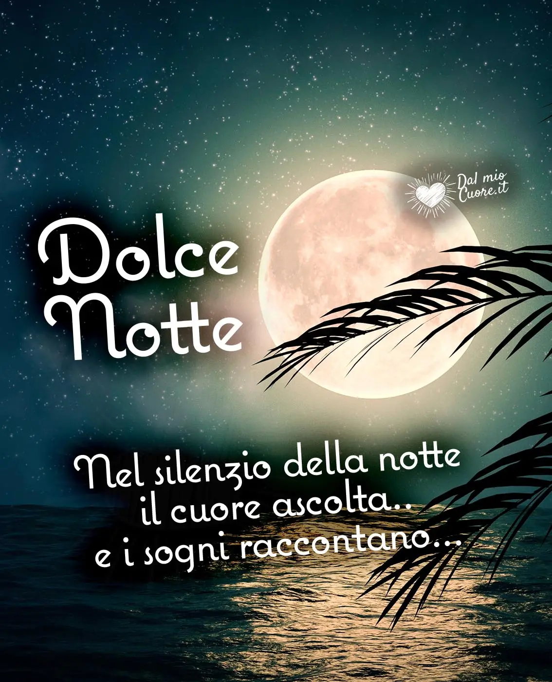 Nel silenzio della notte il cuore ascolta.. e i sogni raccontano. Dolce Notte Nel silenzio della notte il cuore ascolta.. e i sogni raccontano. Dolce Notte