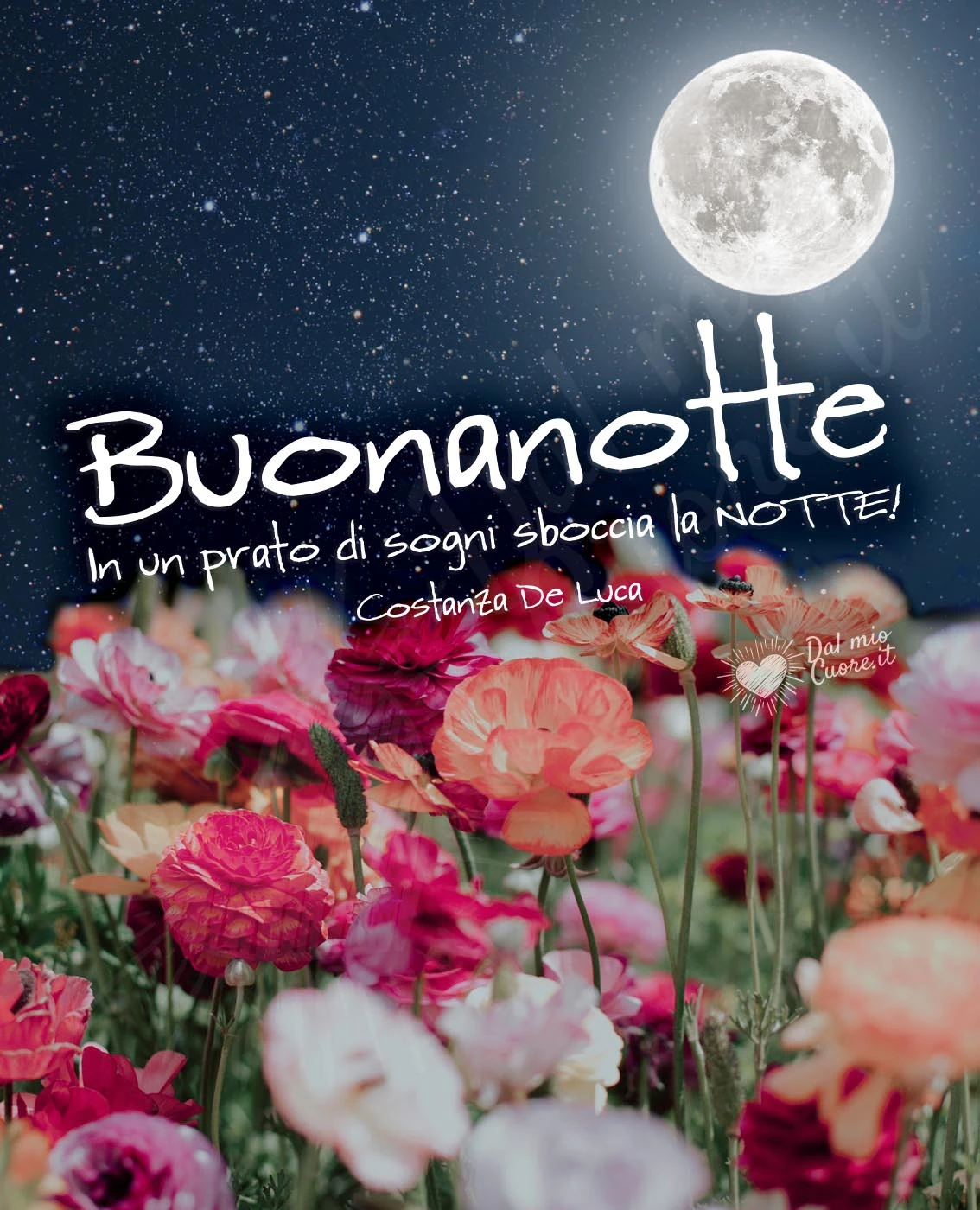 Buonanotte. In un prato di sogni sboccia la NOTTE!