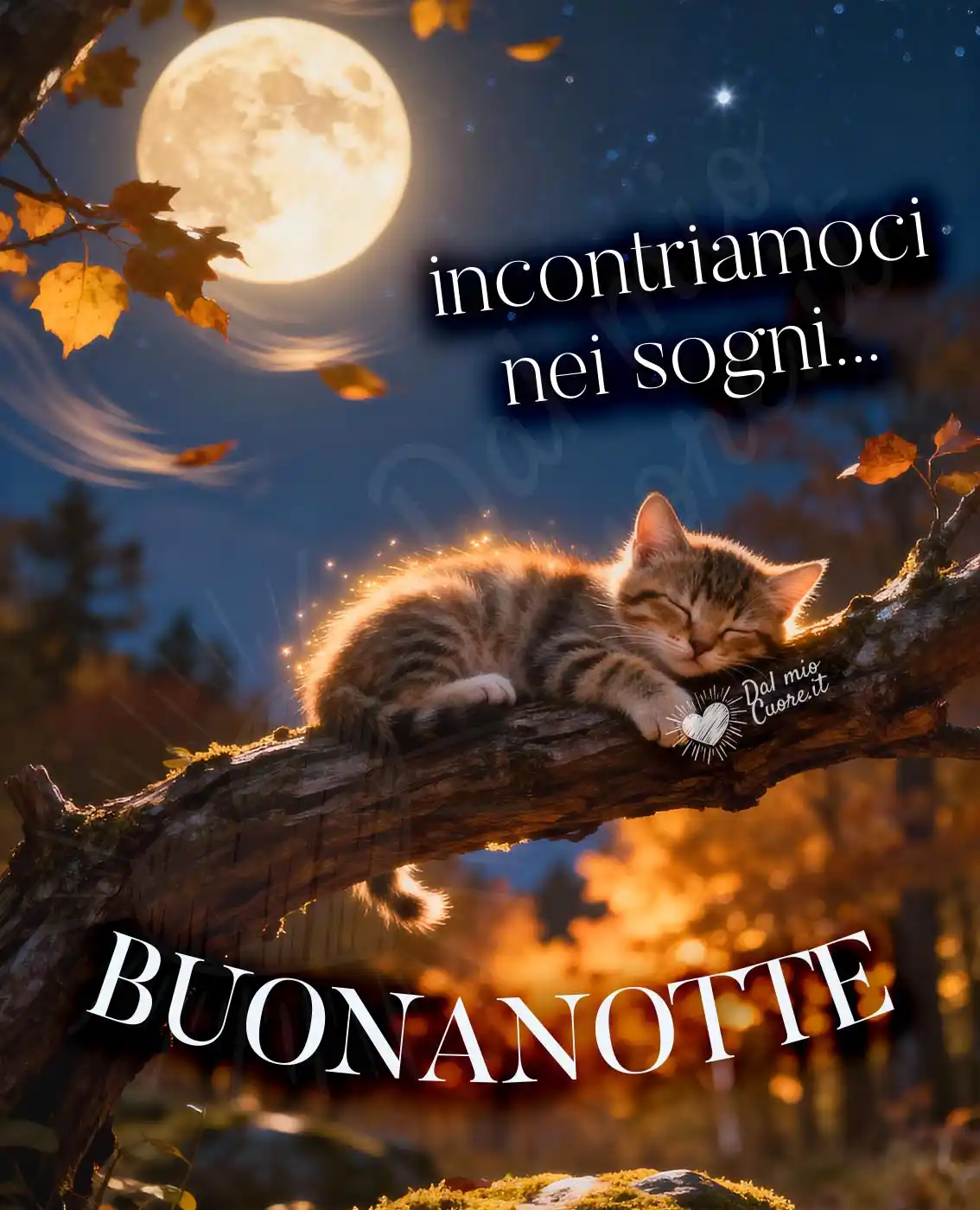 Immagine Buonanotte. Incontriamoci nei sogni