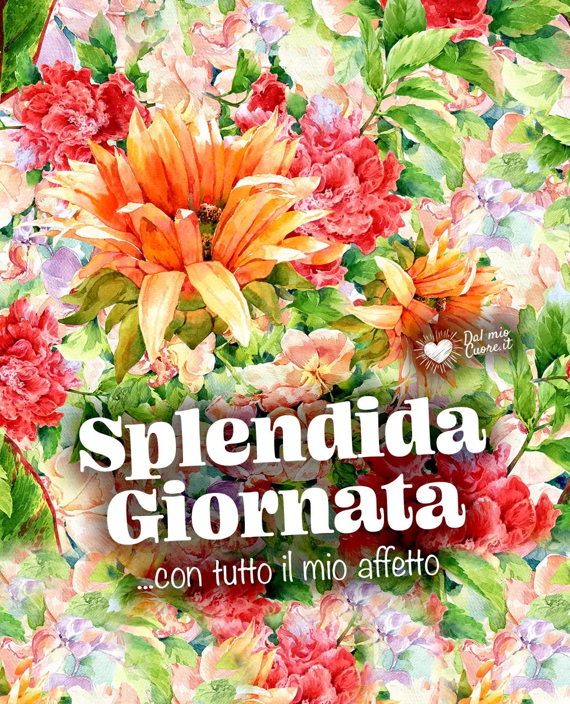 Splendida giornata... con tutto il mio affetto Splendida giornata... con tutto il mio affetto