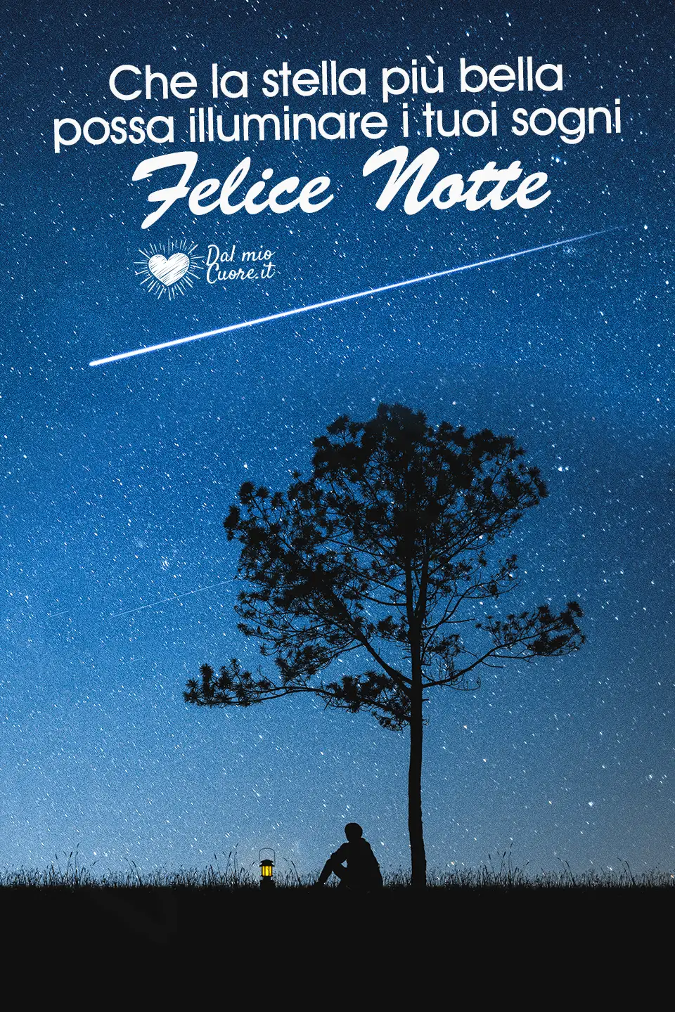 Che la stella più bella possa illuminare i tuoi sogni. Felice Notte