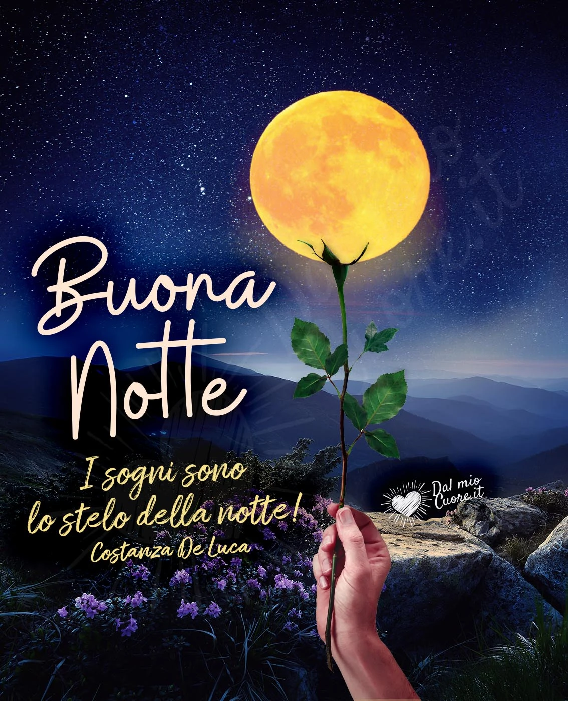 Buona Notte (Frasi). I sogni sono lo stelo della Notte