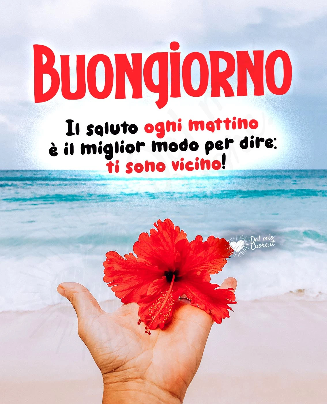 Il buongiorno ogni mattino è il miglior modo per dire: ti sono vicino! (Frase)