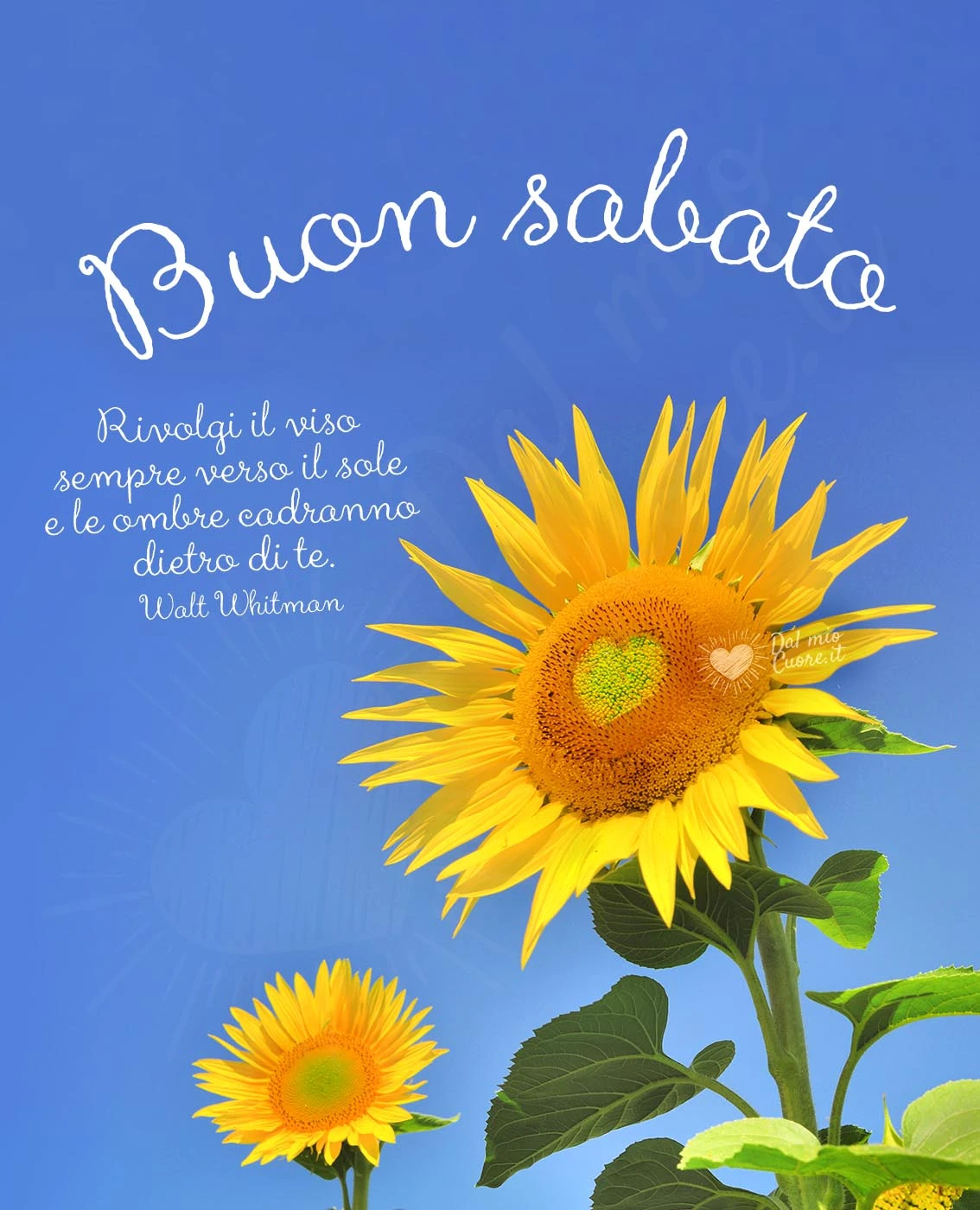Buon sabato con frase su sole e ombre
