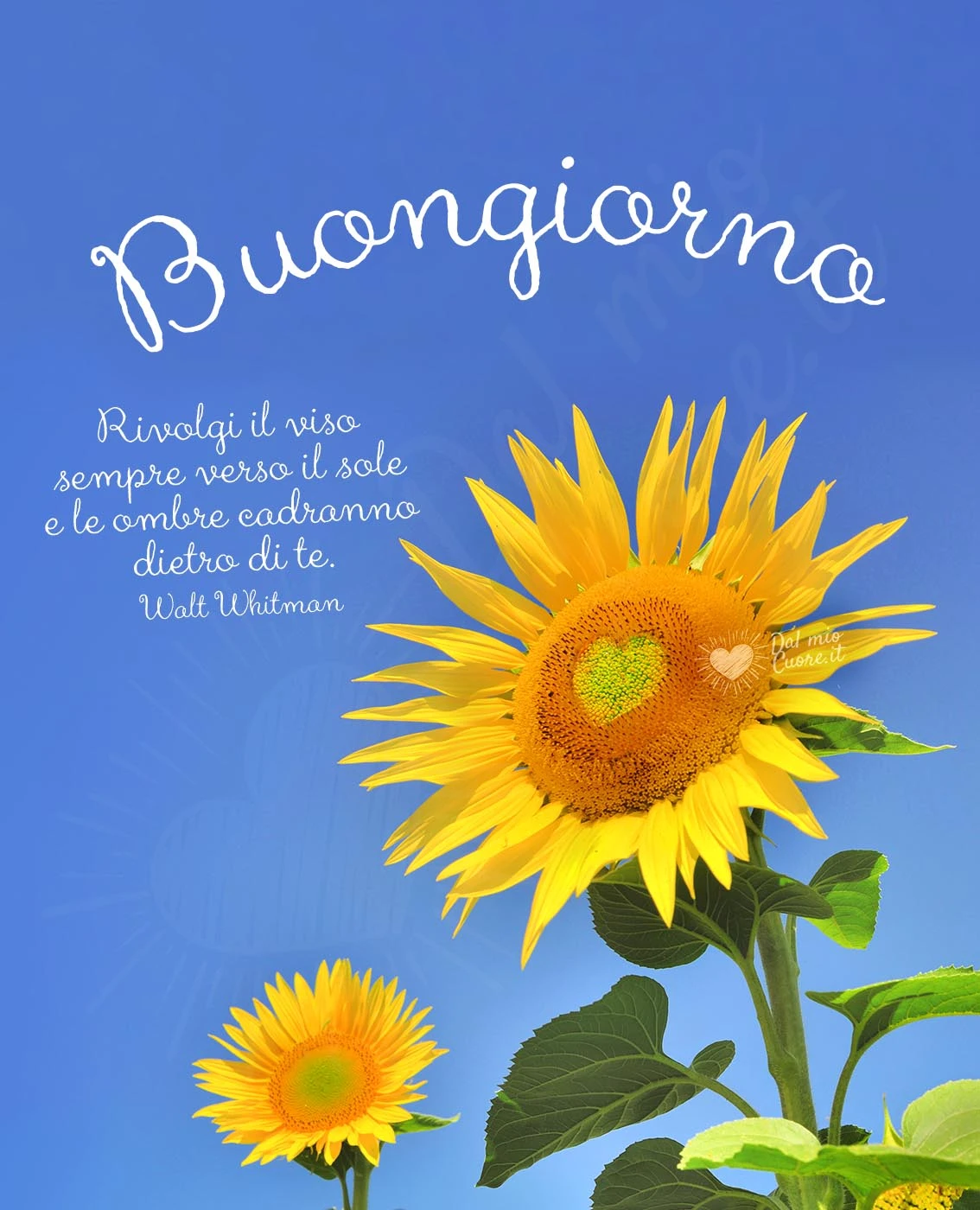 Buongiorno con frase: Rivolgi il viso sempre verso il sole e le ombre cadranno dietro di te Buongiorno con frase: Rivolgi il viso sempre verso il sole e le ombre cadranno dietro di te