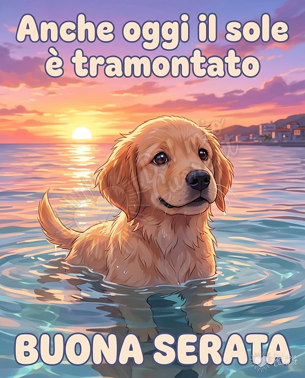 Un simpatico cagnolino, un cucciolo di golden retriever, è ritratto in primo piano mentre si rinfresca immerso nell'acqua limpida del mare. Le sue orecchie sono leggermente bagnate e ha un'espressione gioiosa con gli occhi grandi ed espressivi rivolti verso lo spettatore. Il sole sta calando all'orizzonte, creando un magnifico tramonto estivo che tinge il cielo di sfumature vivaci di arancione, rosa e viola intenso. L'acqua del mare riflette questi colori caldi, apparendo calma e invitante. In alto nell'immagine è presente il testo 'Anche oggi il sole è tramontato'. Più in basso, al centro, si trova il testo 'BUONA SERATA'