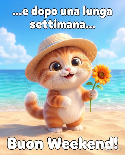 Gattino felice al mare per un buon weekend estivo