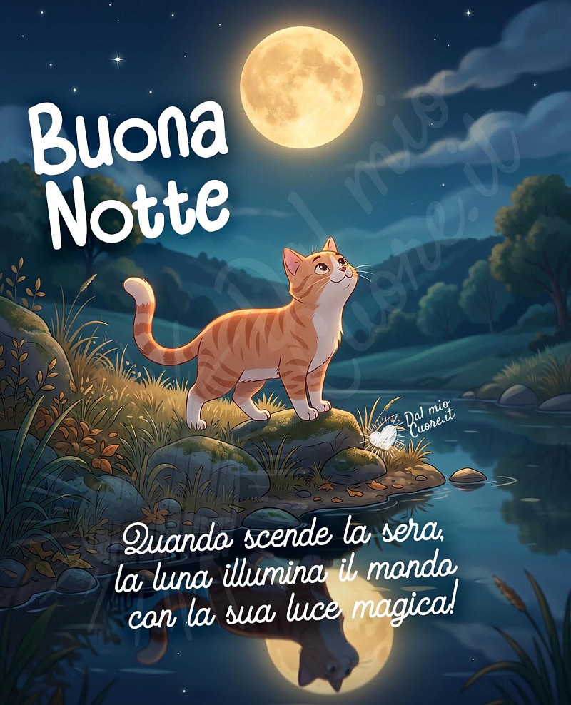 Buonanotte Magica con Gatto Tigrato e Luna Riflessa sull'Acqua