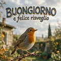 Buongiorno