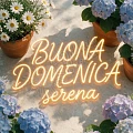 Buona Domenica