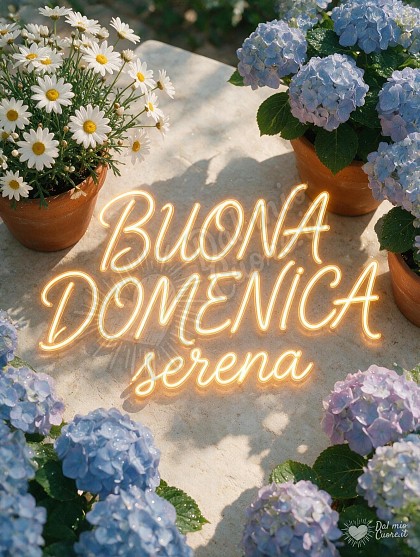 Vista dall'alto di un tavolo in pietra con vasi in terracotta di margherite bianche e ortensie azzurre con gocce d'acqua e scritta neon luminosa.