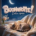 Buonanotte