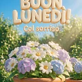 Buon Lunedì