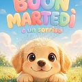 Buon Martedì