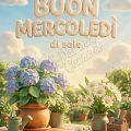 Buon Mercoledì