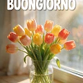 Buongiorno