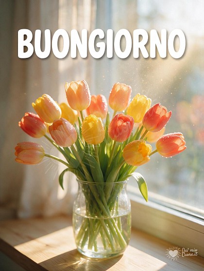 Vaso di vetro trasparente con tulipani freschi multicolore e gocce d'acqua illuminati dal sole del mattino su un piano in legno chiaro.