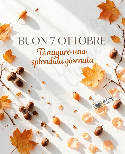 Composizione artistica vista dall'alto su sfondo bianco candido con piccole foglie d'acero ambrate, ghiande dorate, riflessi di luce mattutina e la scritta Buon 7 Ottobre.