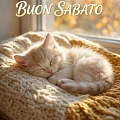 Buon Sabato