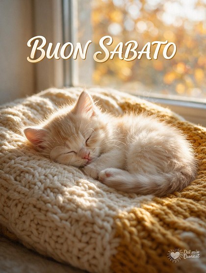 Tenero gattino acciambellato su un morbido cuscino in maglia di lana autunnale baciato da un raggio di sole mattutino.