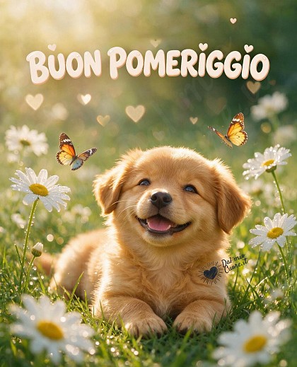 Un tenero cagnolino dal pelo dorato sdraiato su un prato verdeggiante costellato di margherite fresche e farfalle svolazzanti, illuminato da calda luce diurna.
