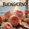 Buongiorno