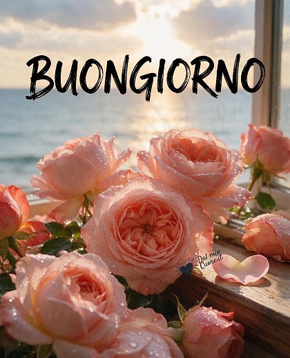 Primissimo piano di rose rosa coperte di gocce d'acqua con scorcio di mare illuminato dal sole del mattino.