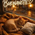 Buonanotte