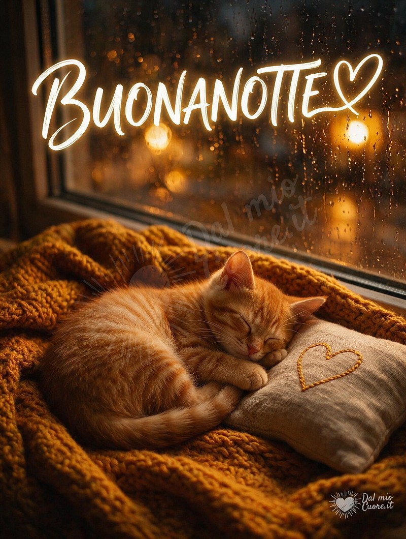 Buonanotte con gattino addormentato e pioggia sui vetri