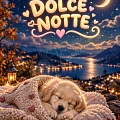 Buonanotte