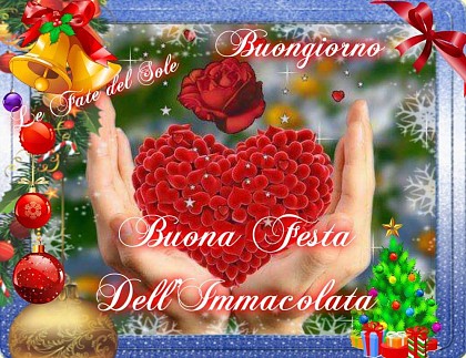 Buongiorno. Buona Festa dell'Immacolata