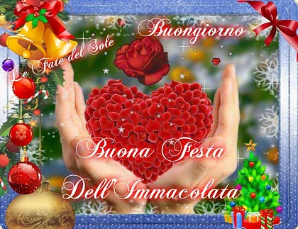 Buongiorno. Buona Festa dell'Immacolata