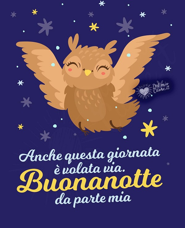 Un buffo gufo appollaiato su un ramo che vola via sotto le stelle con la battuta Anche questa giornata è volata via. Buonanotte da parte mia.
